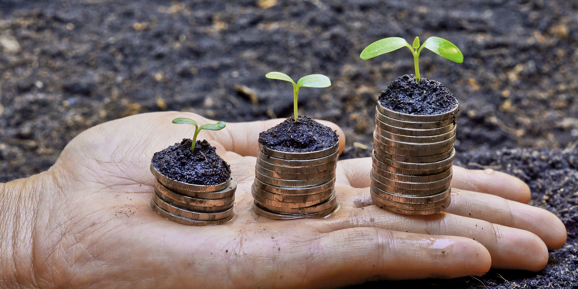 Scottish communities receive grassroots research funding to improve local environments and food supplies